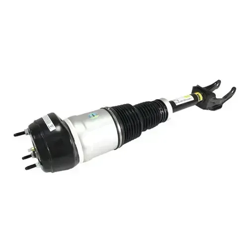 a1663205066   air suspension strut